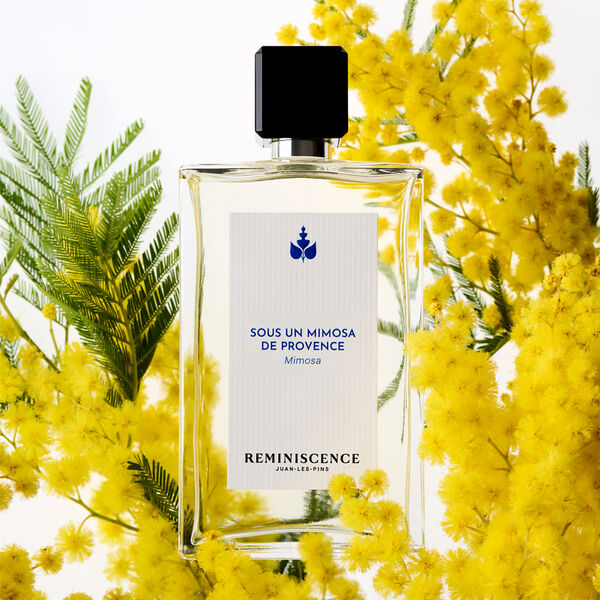 eau  de toilette Mimosa Reminiscence